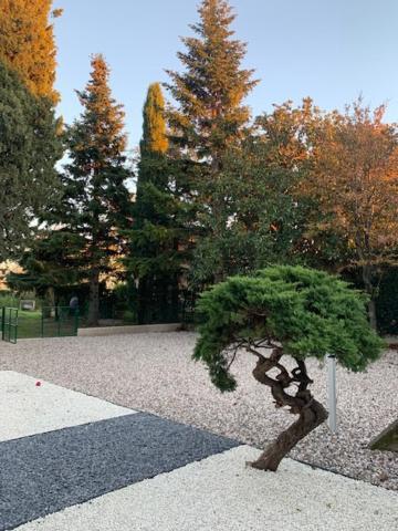 Magnolia Country House Pescantina Luaran gambar